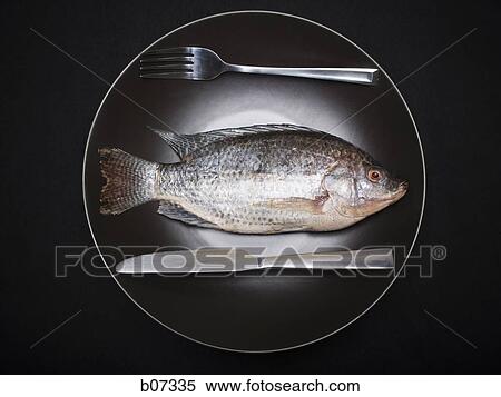 Whole fish in a plate View Large Photo Image Stock Photography - Whole fish in a plate. Fotosearch