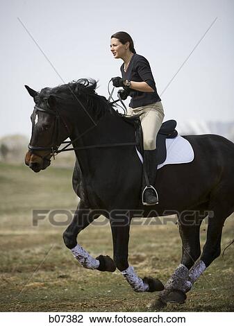 Woman on horseback View Large Photo Image Stock Image - Woman on horseback. Fotosearch