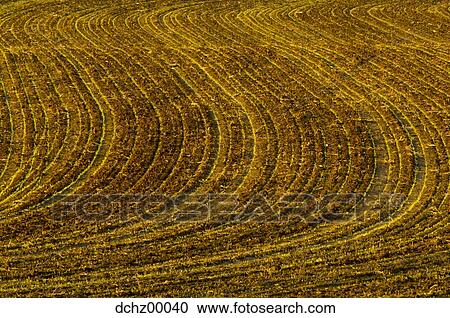 Aerial view of crop field View Large Photo Image Stock Image - Aerial view of crop field. Fotosearch