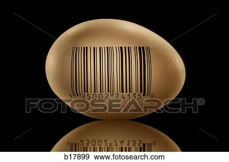 An egg with a barcode imprinted on it. View Large Photo Image Stock Photo - An egg with a barcode imprinted on it.. Fotosearch