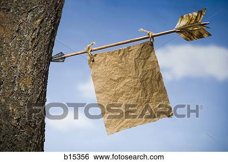 Arrow with note stuck in tree View Large Photo Image Stock Photograph - Arrow with note stuck in tree. Fotosearch