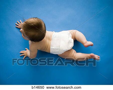 Baby on belly from above View Large Photo Image Stock Image - Baby on belly from above. Fotosearch