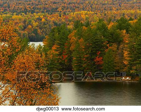 Body of water and forest in autumn View Large Photo Image Stock Image - Body of water and forest in autumn. Fotosearch