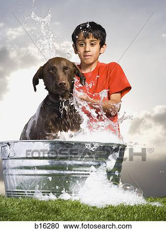 Boy bathing dog outdoors View Large Photo Image Stock Image - Boy bathing dog outdoors. Fotosearch
