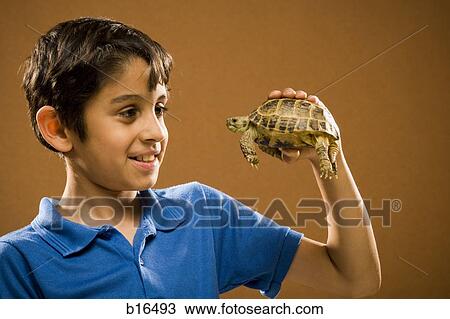 Boy holding turtle smiling View Large Photo Image Stock Image - Boy holding turtle smiling. Fotosearch