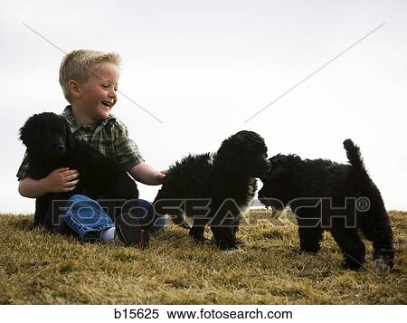Boy with puppies outdoors View Large Photo Image Stock Photography - Boy with puppies outdoors. Fotosearch