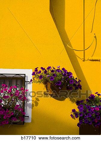 Building detail with windows View Large Photo Image Stock Image - Building detail with windows. Fotosearch