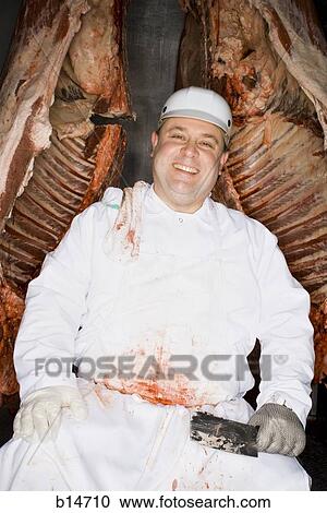 Butcher sitting with carcass and knife smiling View Large Photo Image Stock Image - Butcher sitting with carcass and knife smiling. Fotosearch
