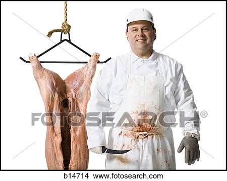Picture - Butcher standing with hanging carcass and knife. Fotosearch