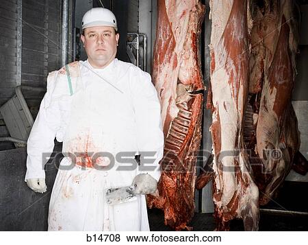 Butcher standing with hanging carcass and knife View Large Photo Image Stock Photo - Butcher standing with hanging carcass and knife. Fotosearch