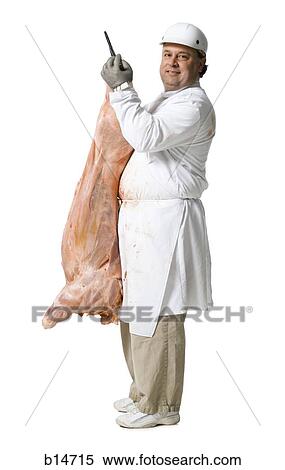 Butcher standing with hanging carcass View Large Photo Image Stock Photography - Butcher standing with hanging carcass. Fotosearch