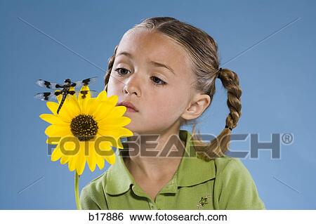 Child looking at a flower and a dragonfly. View Large Photo Image Stock Photograph - Child looking at a flower and a dragonfly.. Fotosearch