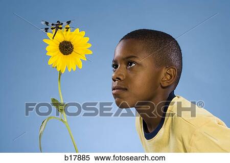 Child looking at a flower and a dragonfly. View Large Photo Image Stock Photography - Child looking at a flower and a dragonfly.. Fotosearch