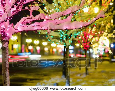 Christmas lights on trees outdoors View Large Photo Image Stock Photograph - Christmas lights on trees outdoors. Fotosearch