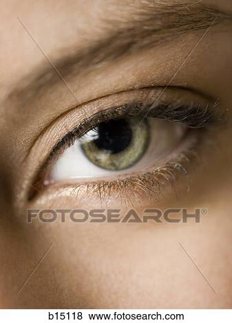 Closeup of female green eye and eyelashes View Large Photo Image Stock Photo - Closeup of female green eye and eyelashes. Fotosearch