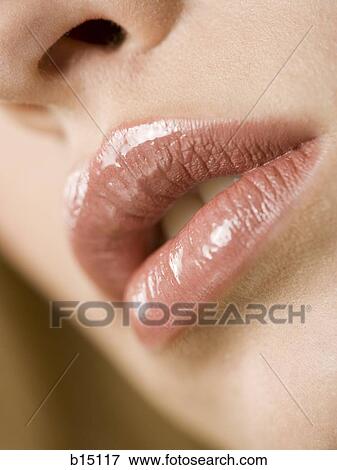 Closeup of female lips View Large Photo Image Stock Photo - Closeup of female lips. Fotosearch
