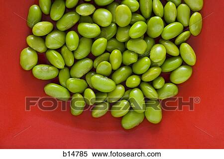 Closeup of lima beans with red background View Large Photo Image Stock Photography - Closeup of lima beans with red background. Fotosearch