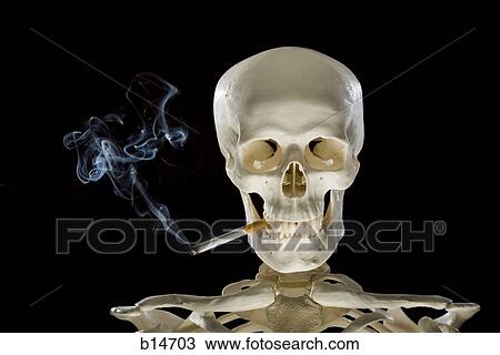 Closeup of skeleton smoking cigarette View Large Photo Image Stock Image - Closeup of skeleton smoking cigarette. Fotosearch