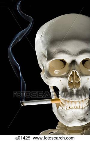 Closeup of skeleton smoking cigarette View Large Photo Image Stock Photography - Closeup of skeleton smoking cigarette. Fotosearch