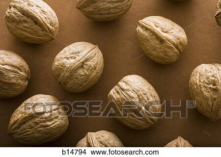 Picture - Closeup of walnuts. Fotosearch