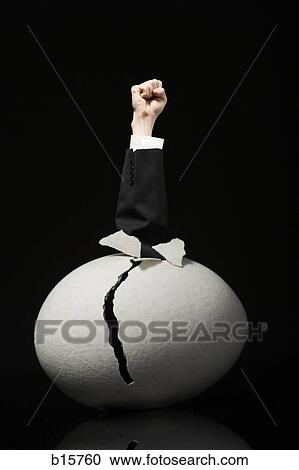 Cracked egg with clenched fist in business suit emerging View Large Photo Image Stock Image - Cracked egg with clenched fist in business suit emerging. Fotosearch