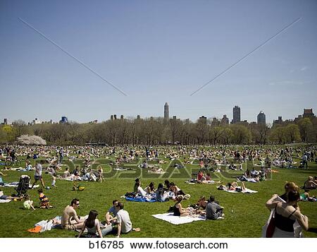 Crowd of people on grass with city skyline and blue sky View Large Photo Image Stock Photography - Crowd of people on grass with city skyline and blue sky. Fotosearch