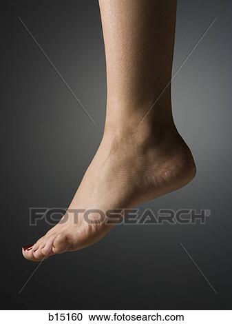 Detailed view of female bare foot and heel profile View Large Photo Image Stock Image - Detailed view of female bare foot and heel profile. Fotosearch