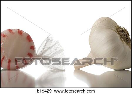 Detailed view of garlic and striped mint View Large Photo Image Stock Photo - Detailed view of garlic and striped mint. Fotosearch