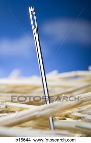 Picture - Detailed view of needle in a haystack. Fotosearch