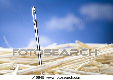Detailed view of needle in a haystack View Large Photo Image Stock Photography - Detailed view of needle in a haystack. Fotosearch