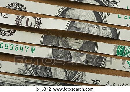Stock Image - Detailed view of shredded US banknote. Fotosearch