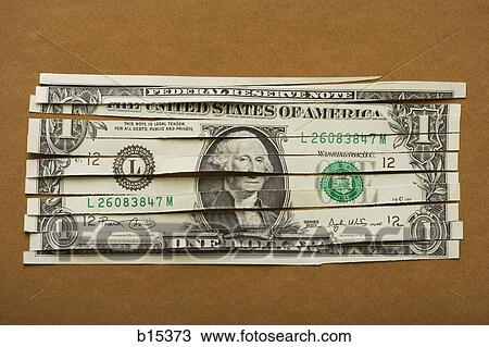 Detailed view of shredded US dollar bill View Large Photo Image Stock Image - Detailed view of shredded US dollar bill. Fotosearch