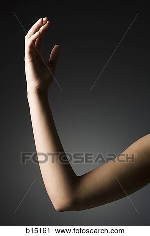 Female arm and elbow View Large Photo Image Stock Image - Female arm and elbow. Fotosearch