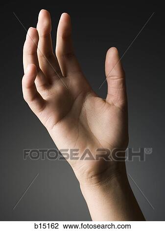 Female hand and fingers close up View Large Photo Image Stock Image - Female hand and fingers close up. Fotosearch