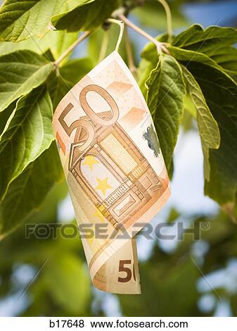 Fifty Euro banknote on tree branch with leaves View Large Photo Image Stock Photo - Fifty Euro banknote on tree branch with leaves. Fotosearch