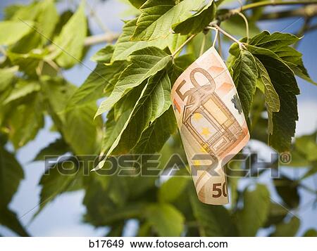 Fifty Euro banknote on tree branch with leaves View Large Photo Image Stock Photo - Fifty Euro banknote on tree branch with leaves. Fotosearch
