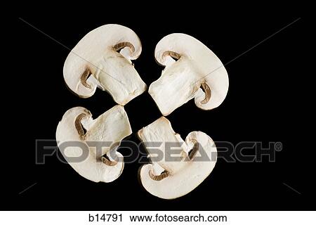 Four mushroom slices View Large Photo Image Stock Image - Four mushroom slices. Fotosearch