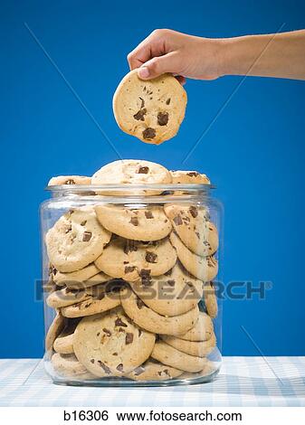 Hand grabbing chocolate chip cookie from jar View Large Photo Image Stock Photograph - Hand grabbing chocolate chip cookie from jar. Fotosearch