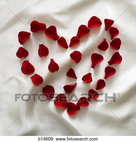 Heart made from red rose petals View Large Photo Image Stock Photo - Heart made from red rose petals. Fotosearch