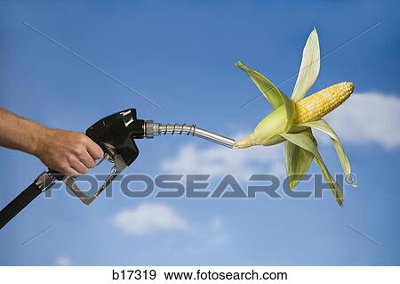 Stock Photo - Man holding gas nozzle with corn cob. Fotosearch
