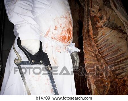 Stock Photo - Midsection of butcher with saw and carcass. Fotosearch