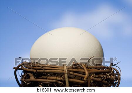 Nest with egg outdoors View Large Photo Image Stock Image - Nest with egg outdoors. Fotosearch