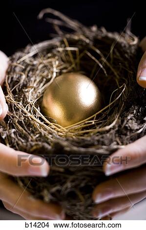 Picture - Nest with golden egg. Fotosearch
