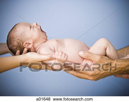 Newborn baby held by two sets of hands. View Large Photo Image Stock Photo - Newborn baby held by two sets of hands.. Fotosearch