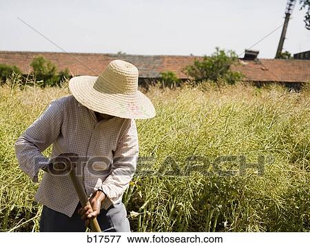 Stock Photo - Person with straw hat working in farmer's field. Fotosearch