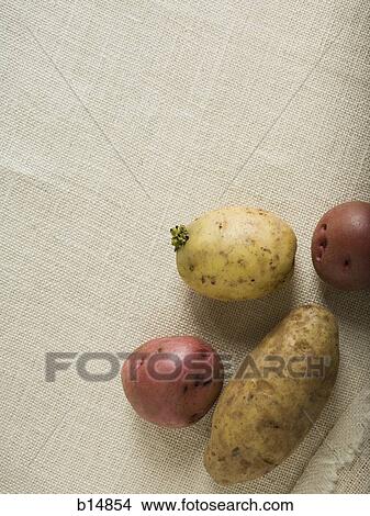 Potatoes View Large Photo Image Picture - Potatoes. Fotosearch