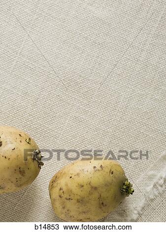 Potatoes View Large Photo Image Stock Image - Potatoes. Fotosearch