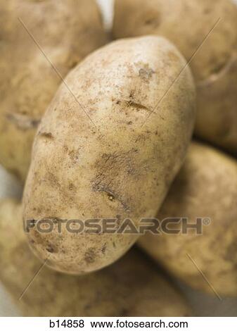 Potatoes View Large Photo Image Stock Photo - Potatoes. Fotosearch