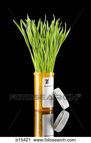 Prescription bottle with grass View Large Photo Image Stock Image - Prescription bottle with grass. Fotosearch