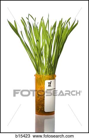 Prescription bottle with grass View Large Photo Image Stock Image - Prescription bottle with grass. Fotosearch